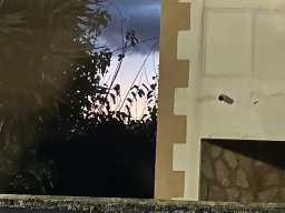 085-17-12-2025 IMG_3233